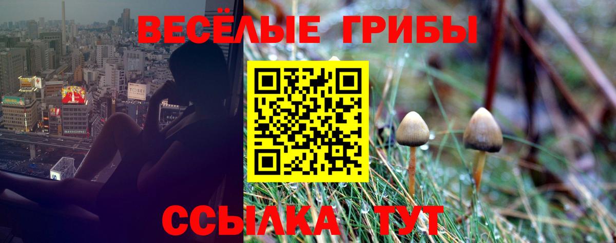 Калуга  Галлюциногенные грибы Magic Shrooms  Галлюциногенные грибы Magic Shrooms  Вход с VPN 